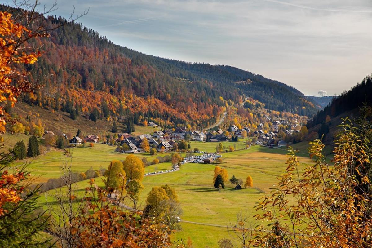 Galeriewohnung In Menzenschwand-Hinterdorf Екстериор снимка